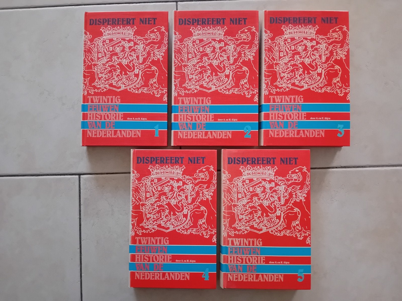 Dispereert niet - A. en H. Algra, Boeken, Ophalen of Verzenden, Zo goed als nieuw