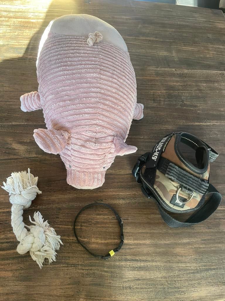 Hondentuigje,2x speeltje, halsband (totale waarde €65,-), Ophalen of Verzenden, Gebruikt
