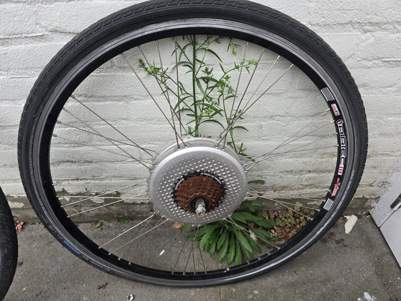 Elektrische fiets trek achterwiel met motor en band, Gebruikt, Onbekend, Ophalen of Verzenden, Aluminium