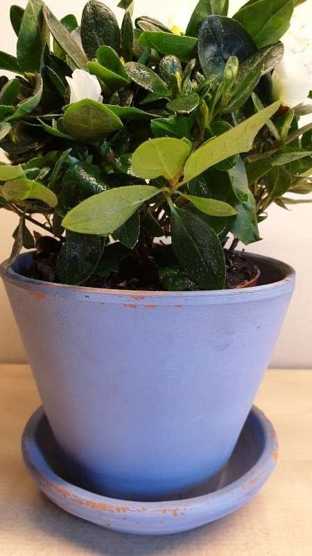 Bloempot, blauw beschilderd, hoogte 11cm, binnen diam 11,5cm, Rond, Ophalen of Verzenden, Aardewerk, Binnen