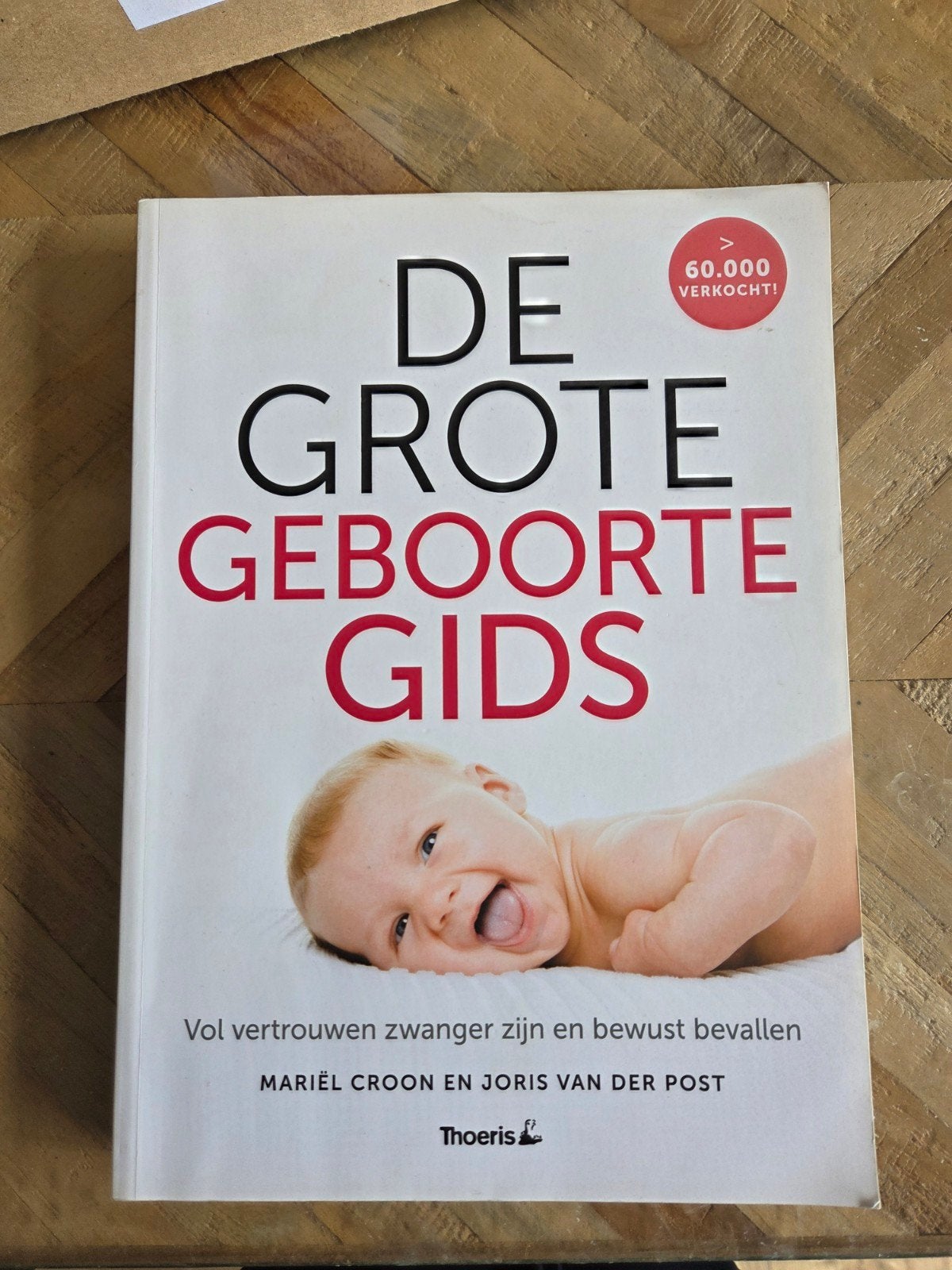De Grote Geboorte Gids - Zwangerschap & Bevalling, Ophalen of Verzenden, Gelezen, Zwangerschap en Bevalling, Mariël Croon en Joris van der Post