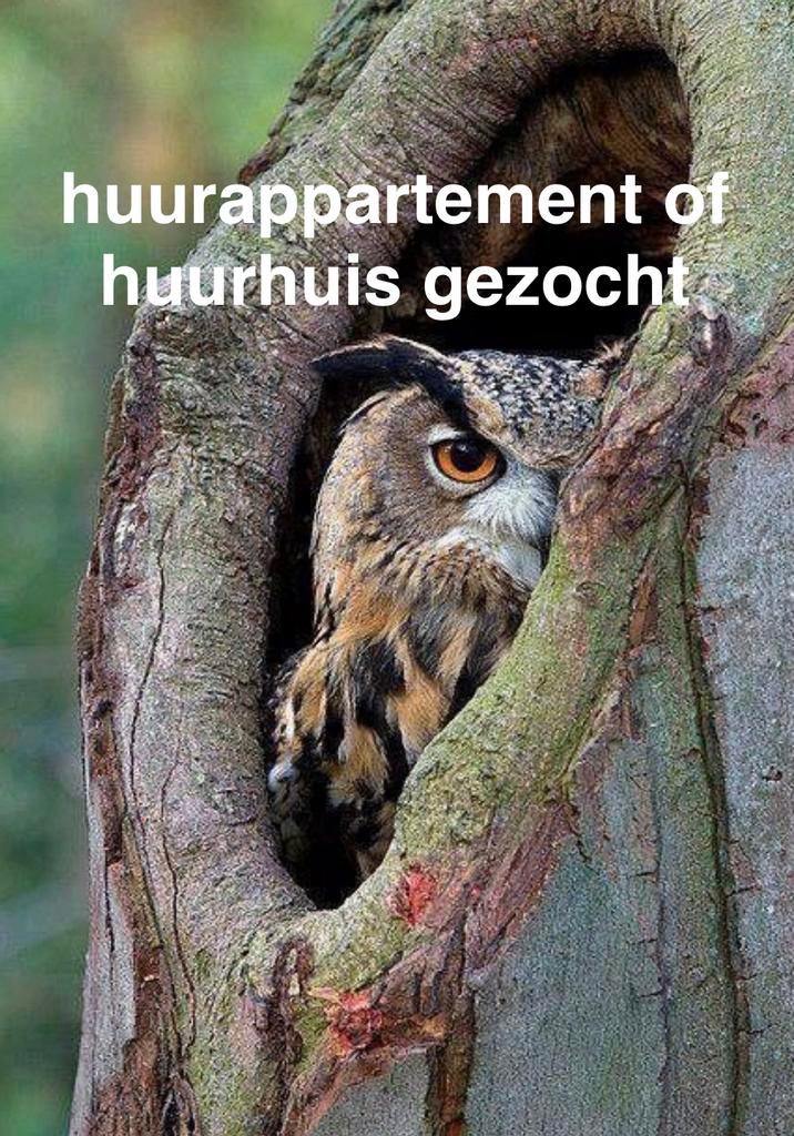Net 55+ stel zoekt huurappartement/woning gelderland, Huizen en Kamers, Op zoek naar een huis
