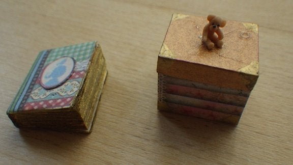 Poppenhuis: Doosje en Boek, Ophalen of Verzenden, Nieuw, Poppenhuis
