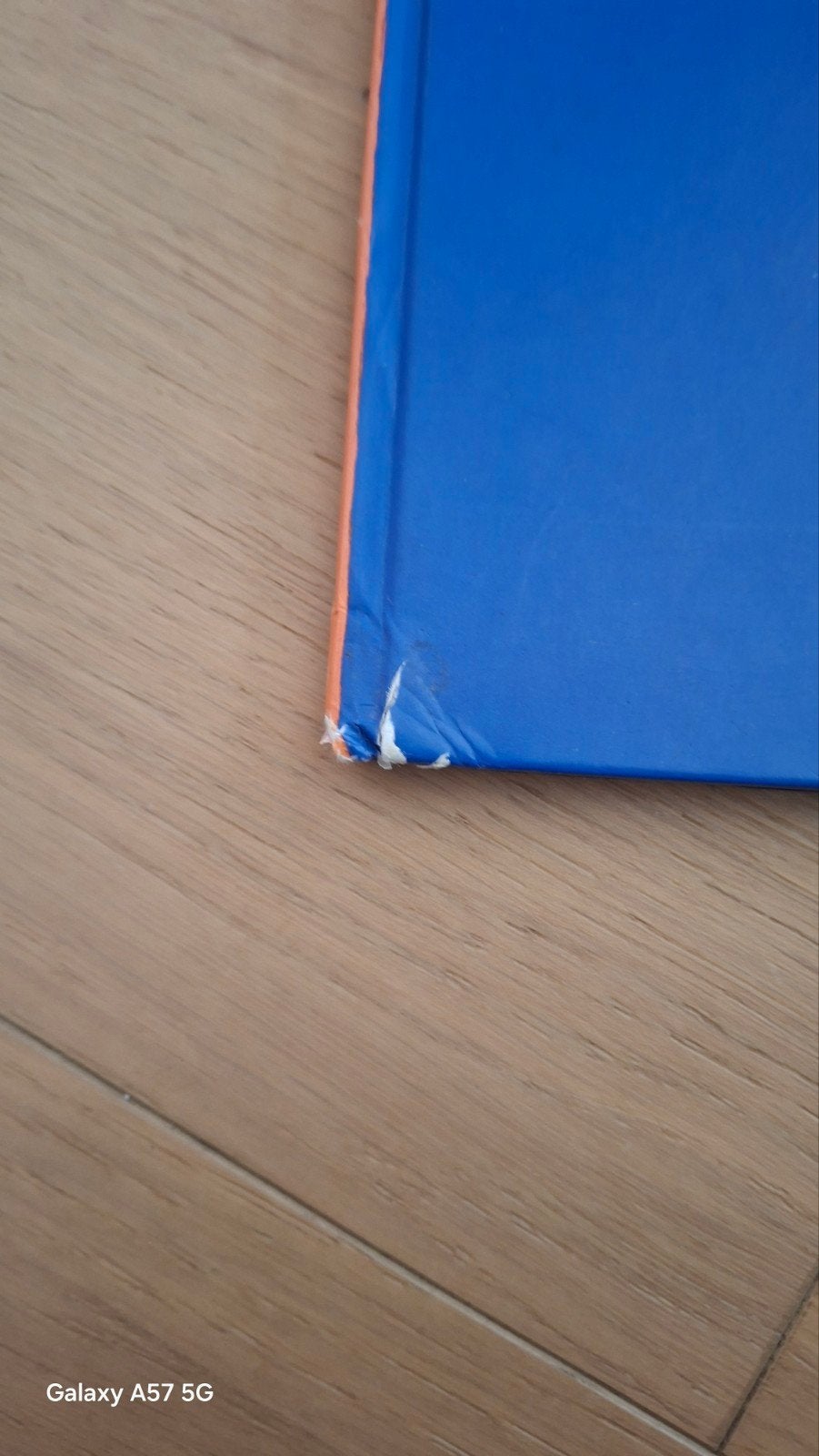Charlotte Dematons - Nederland, Boeken, Prentenboeken en Plaatjesalbums, Ophalen of Verzenden, Gelezen, Charlotte Dematons