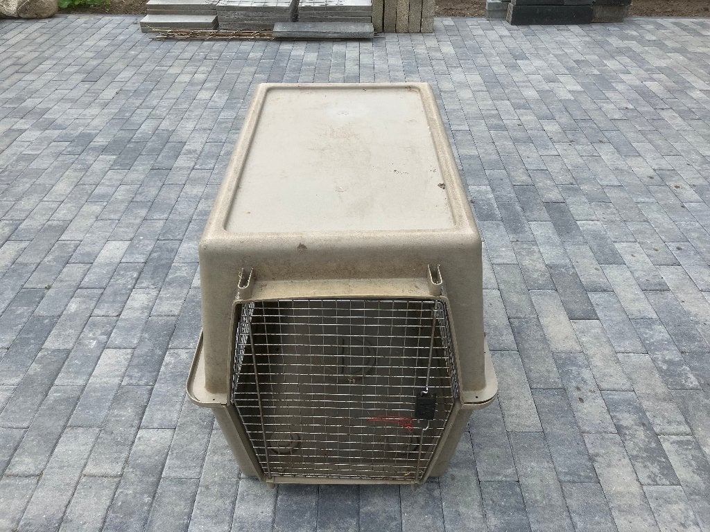 Honden bench, Dieren en Toebehoren, Ophalen, Gebruikt