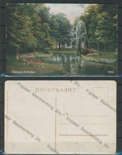 Driebergen 1905 De Wildbaan Hand ingekleurd Ansichtkaart a-7, Ophalen of Verzenden, Voor 1920, Ongelopen, Utrecht