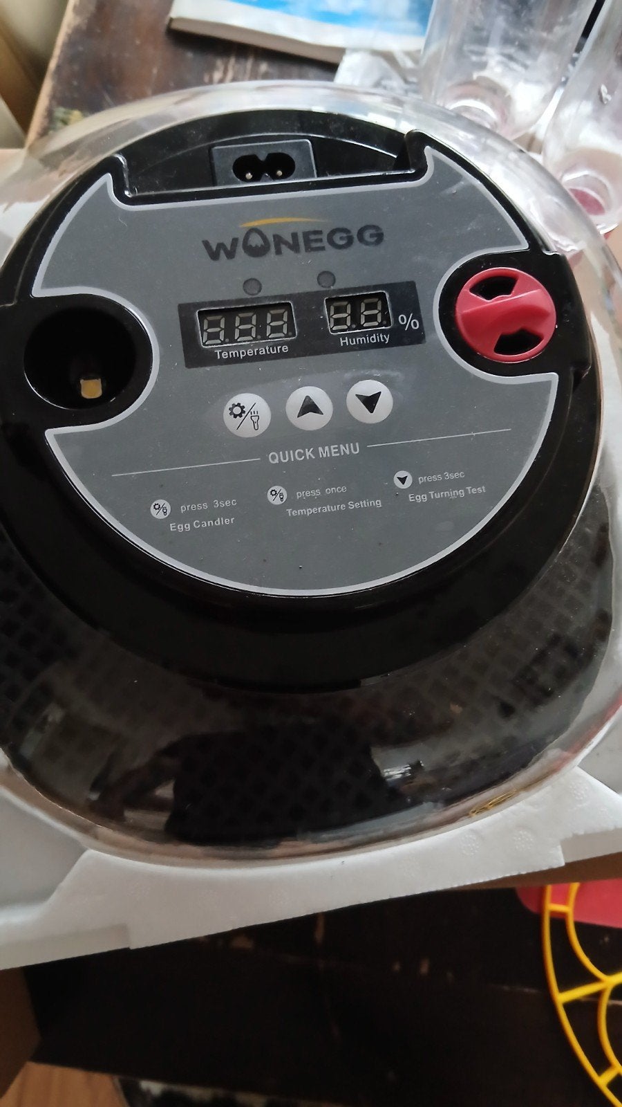 Hagelnieuwe broedmachine, Geslacht onbekend, Kip