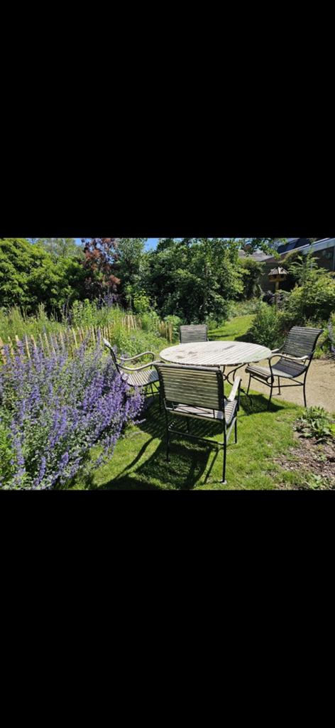Gietijzer landelijke tuinset, Ophalen, Gebruikt, Overige materialen