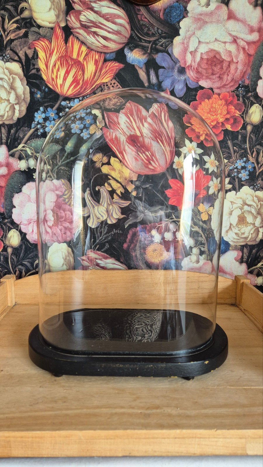 Glazen ovale stolp met zwarte houten voet, Antiek en Kunst, Ophalen of Verzenden