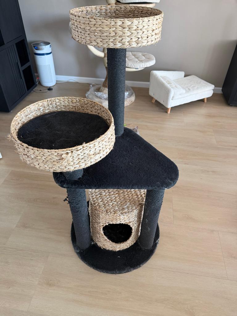 Krabpaal katten, Dieren en Toebehoren, Ophalen, Gebruikt