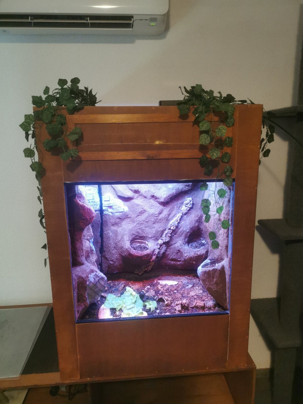 Terrarium, zelfbouw 74x91x59.5, Dieren en Toebehoren, Ophalen, Gebruikt, Terrarium of Paludarium
