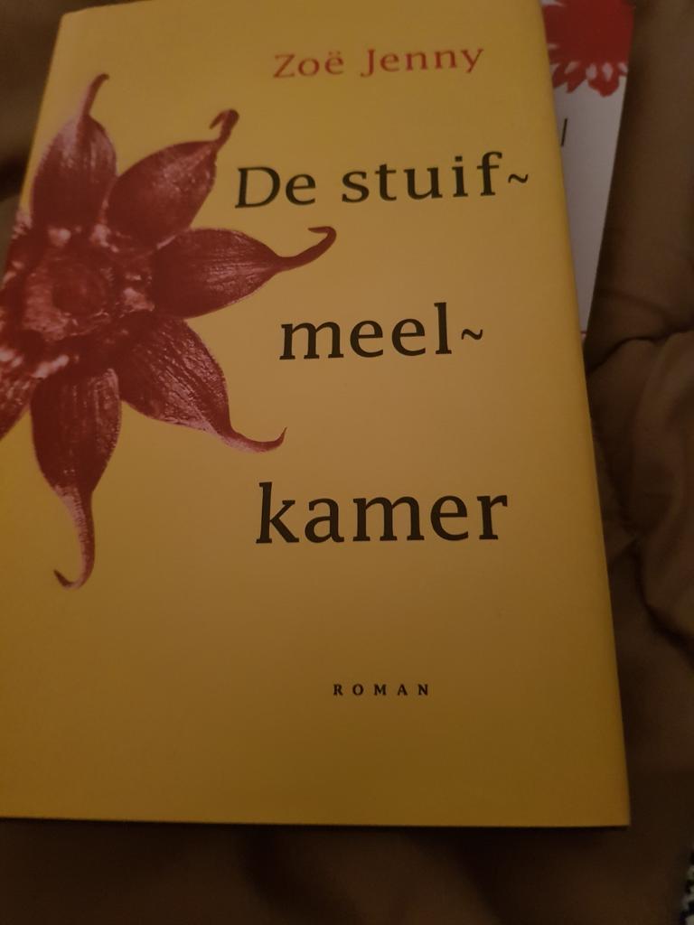 Zoë Jenny - De stuifmeelkamer, Verzenden, Zo goed als nieuw, Zoë Jenny