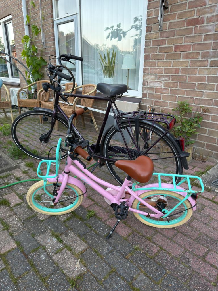 2 fietsen, Fietsen en Brommers, Fietsen | Meisjes, Ophalen, Gebruikt, 26 inch of meer