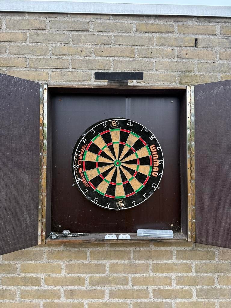 Dartbord met bijpassende kast en verlichting, Ophalen, Gebruikt, Dartbord