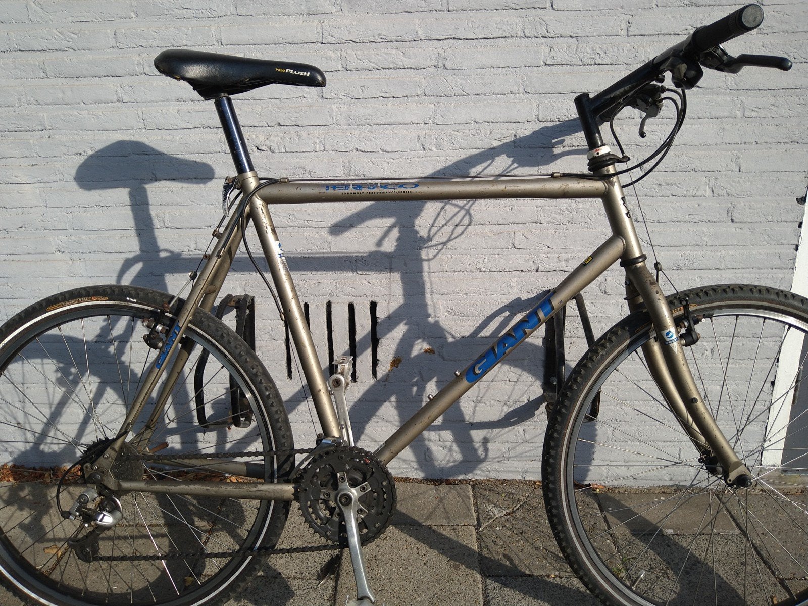 Giant oldtimer, 55 tot 59 cm, Ophalen of Verzenden