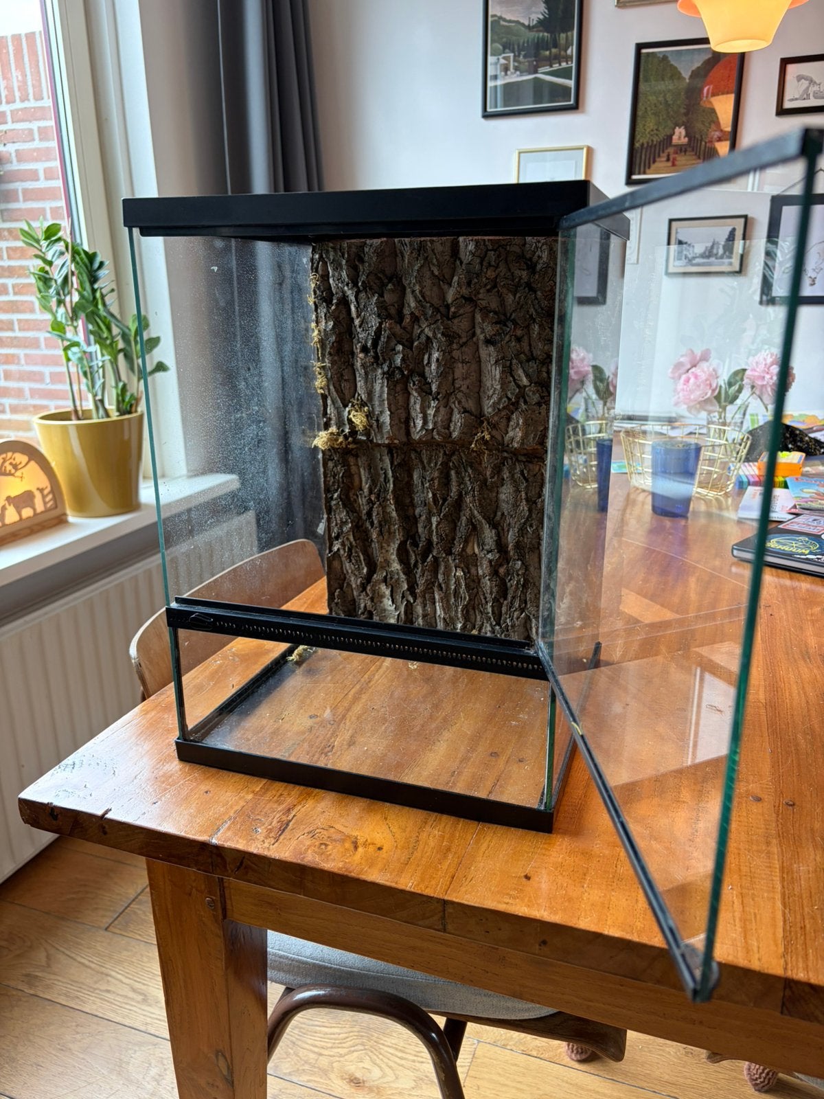 Terrarium - 30 x 30 x 42, Ophalen, Gebruikt, Terrarium of Paludarium
