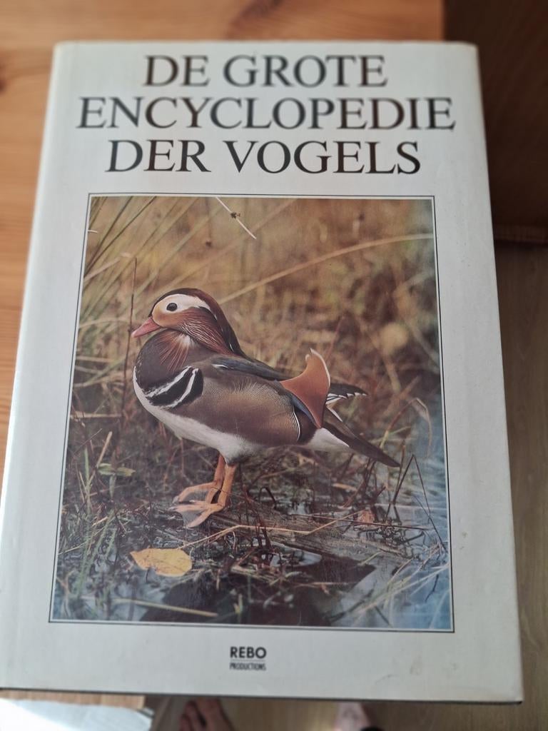 De Grote Encyclopedie der Vogels - REBO Productions, Gelezen, REBO Productions, Ophalen of Verzenden, Los deel