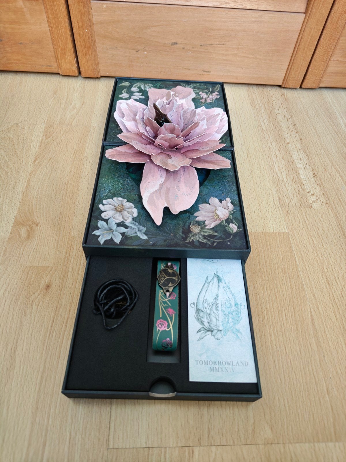 Originele Tomorrowland 2024 ticket box, Ophalen of Verzenden