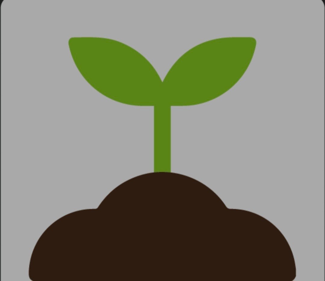 Stekjes gezocht (gratis), Volle zon, Groenteplanten, Eenjarig, Ophalen of Verzenden