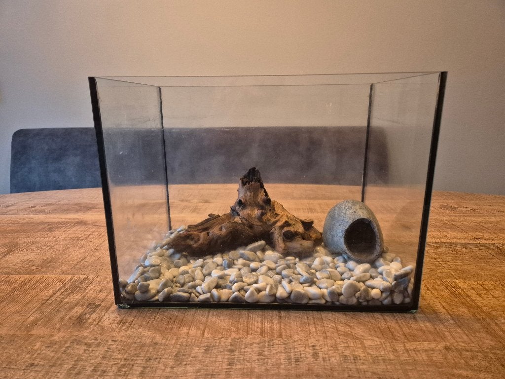 Beginners aquarium, Ophalen, Overige merken, Inclusief toebehoren, Zo goed als nieuw