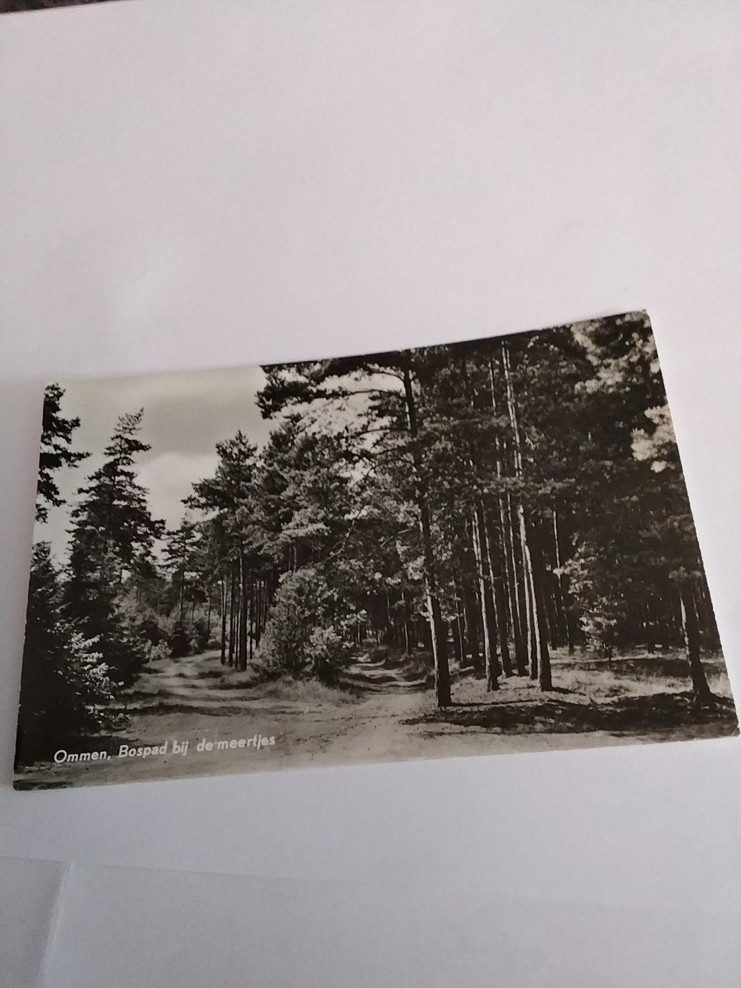 Oude ansichtkaart Ommen, Bospad bij de meertjes, Verzamelen, Ophalen of Verzenden, 1940 tot 1960, Gelopen, Overijssel