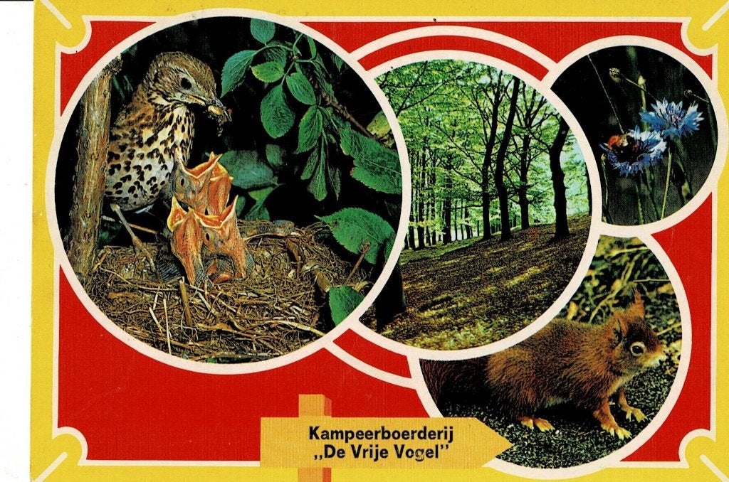 Elsloo, de Vrije Vogel, Ophalen of Verzenden, 1960 tot 1980, Gelopen, Friesland
