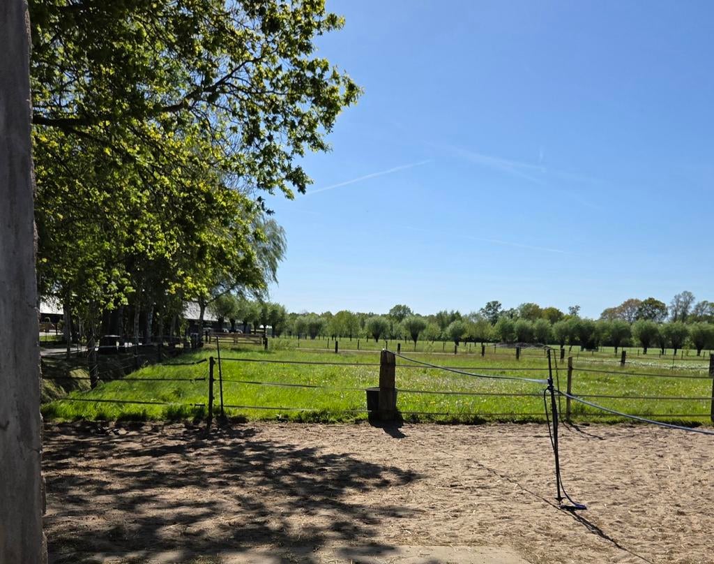 Stal met landje en paddock  voor max 3 pony's