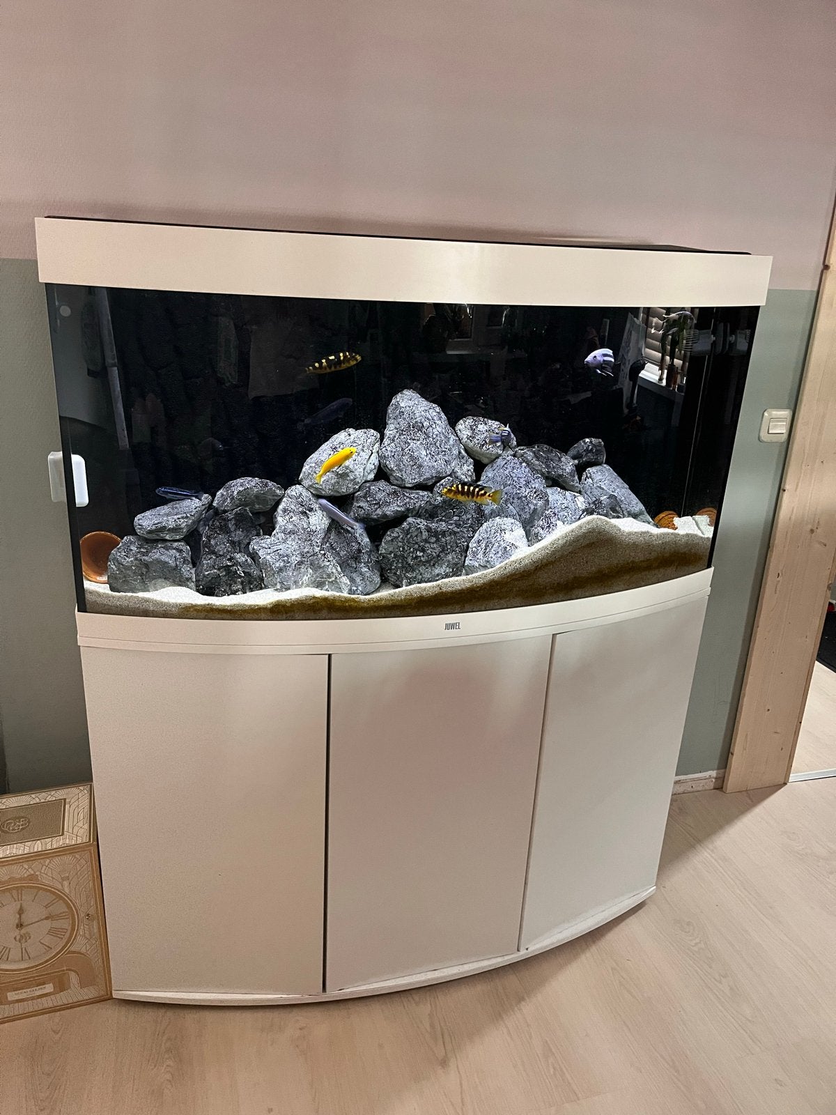 Aquarium juwel vision 260 led, Ophalen, Zo goed als nieuw, Leeg aquarium