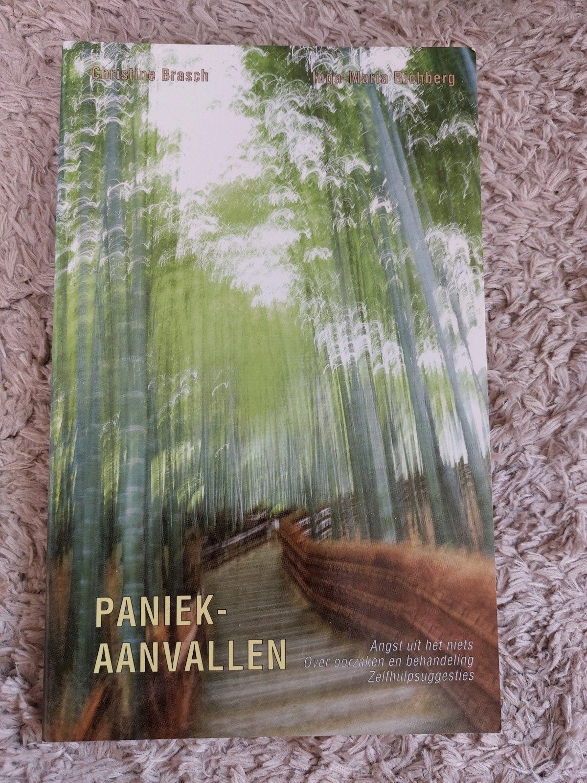 Paniekaanvallen: Oorzaken, behandeling en zelfhulpsuggesties, Ophalen of Verzenden, Zo goed als nieuw, Overige typen, Christine Brasch, Inga-Maria Richberg