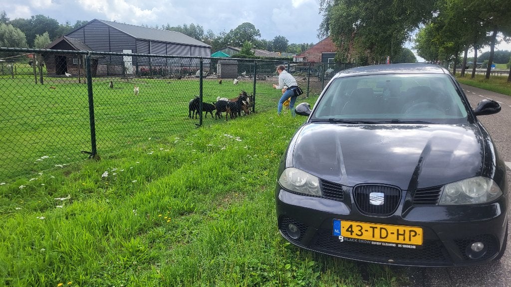 Seat Ibiza 1.4 16V bbz 101pk lpg -MOTORSCHADE, Auto's, Seat, Particulier, Ibiza, LPG, Euro 5, D, Hatchback, Handgeschakeld, Origineel Nederlands
