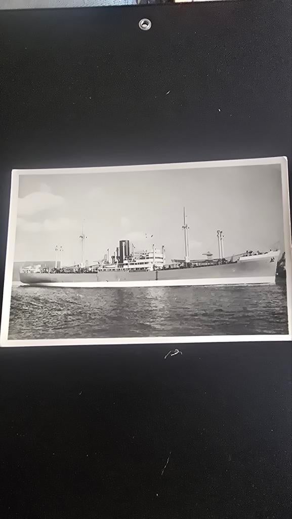 Ansichtkaart MS Kertosono - Koninklijke Rotterdamsc, Ophalen of Verzenden