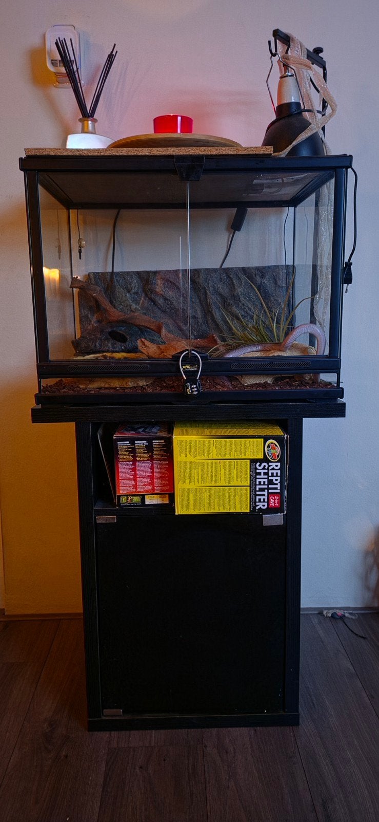 Terrarium met kast en spullen, Ophalen