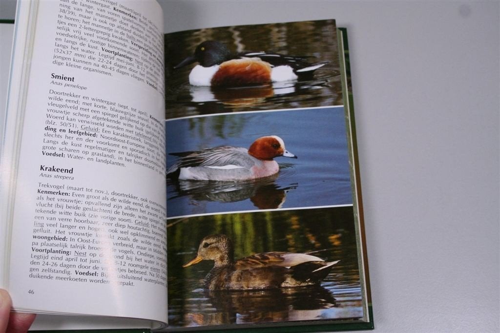 Complete Vogelgids — Kenmerken, verspreiding, voortplanting, Boeken, Ophalen of Verzenden, Zo goed als nieuw, Paarden of Pony's