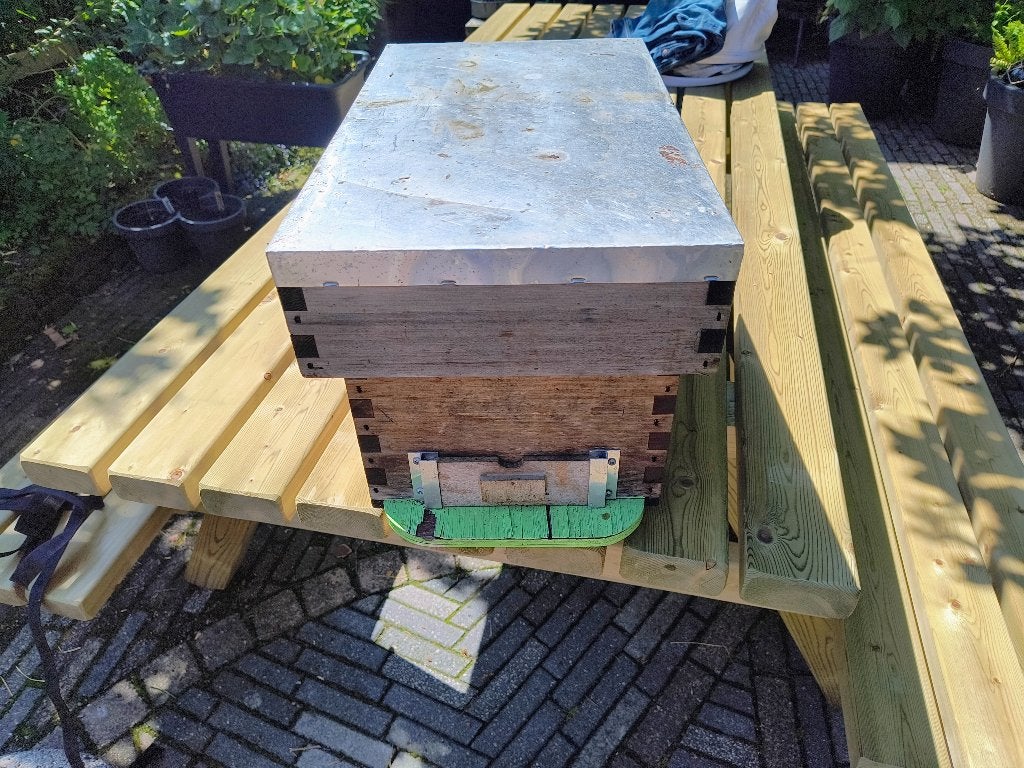 Zesramer red ceder, Bijen