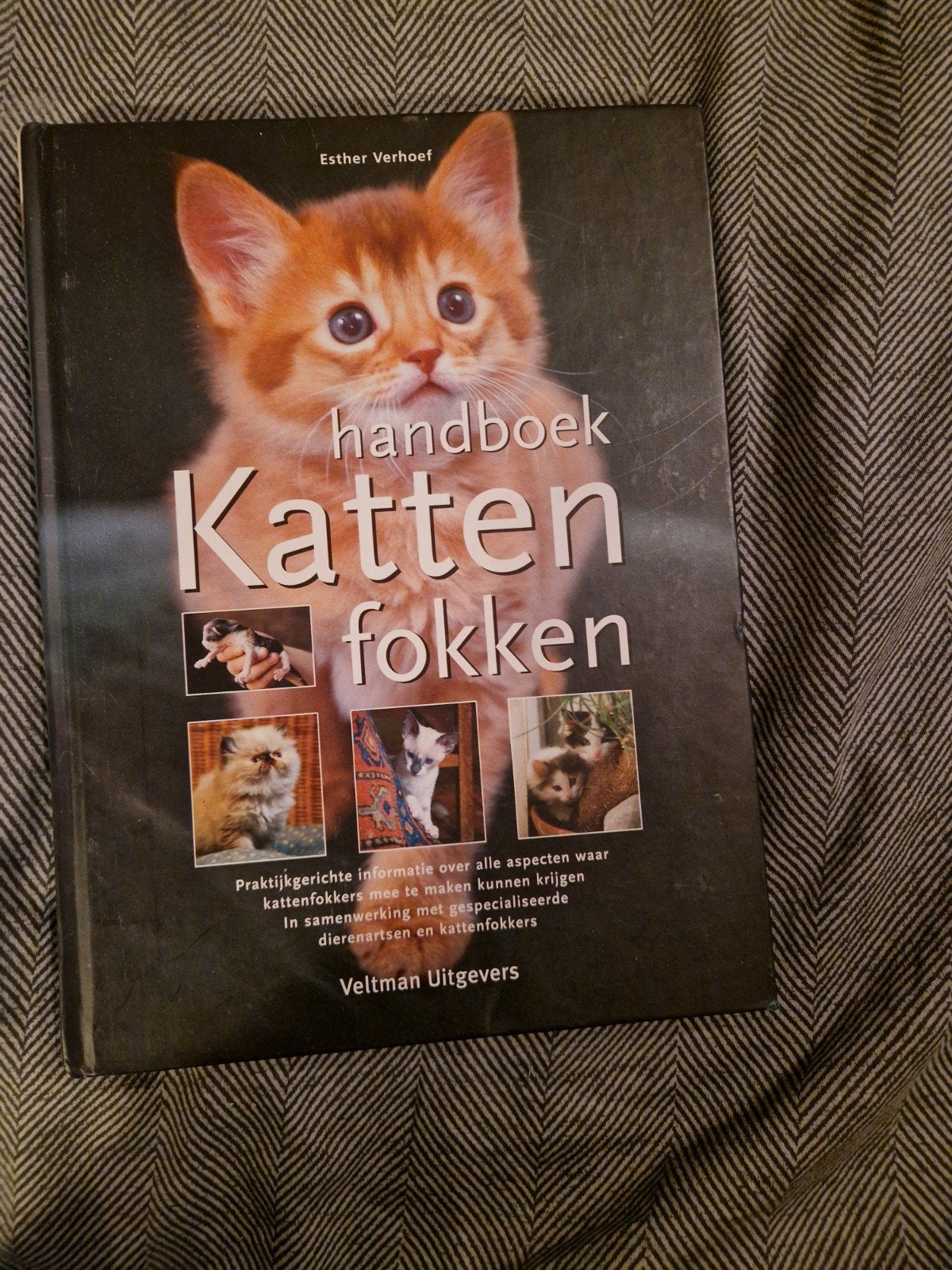 Handboek Katten Fokken - Esther Verhoef, Verzenden, Zo goed als nieuw, Katten, Esther Verhoef