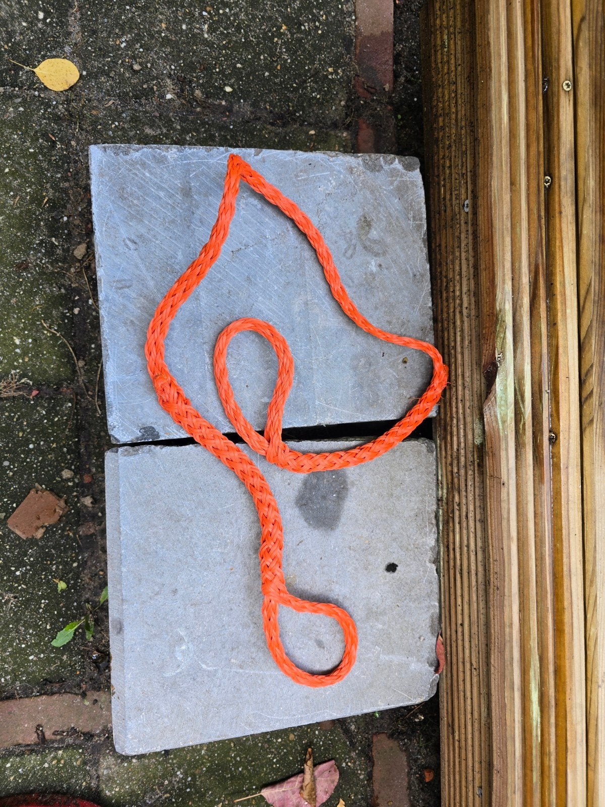 buddyline tbv duiken, Ophalen