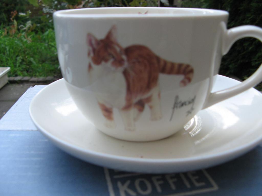 Katten mokken en kop & schotel € 12,95, Ophalen of Verzenden, Zo goed als nieuw