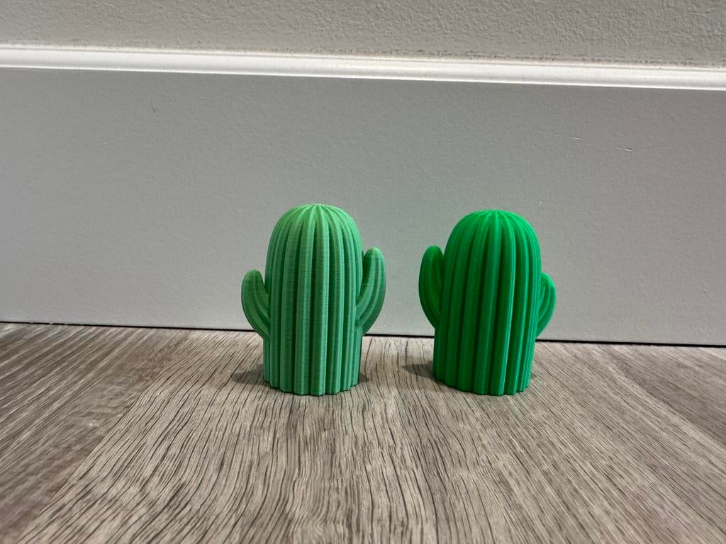 2 leuke cactus beeldjes, Ophalen of Verzenden, Nieuw