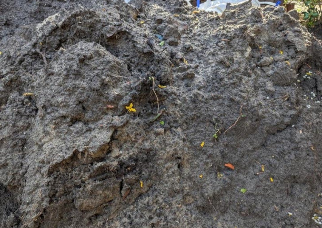 zwart zand gratis 1.5 m3, Tuin en Terras, Ophalen, Overige typen