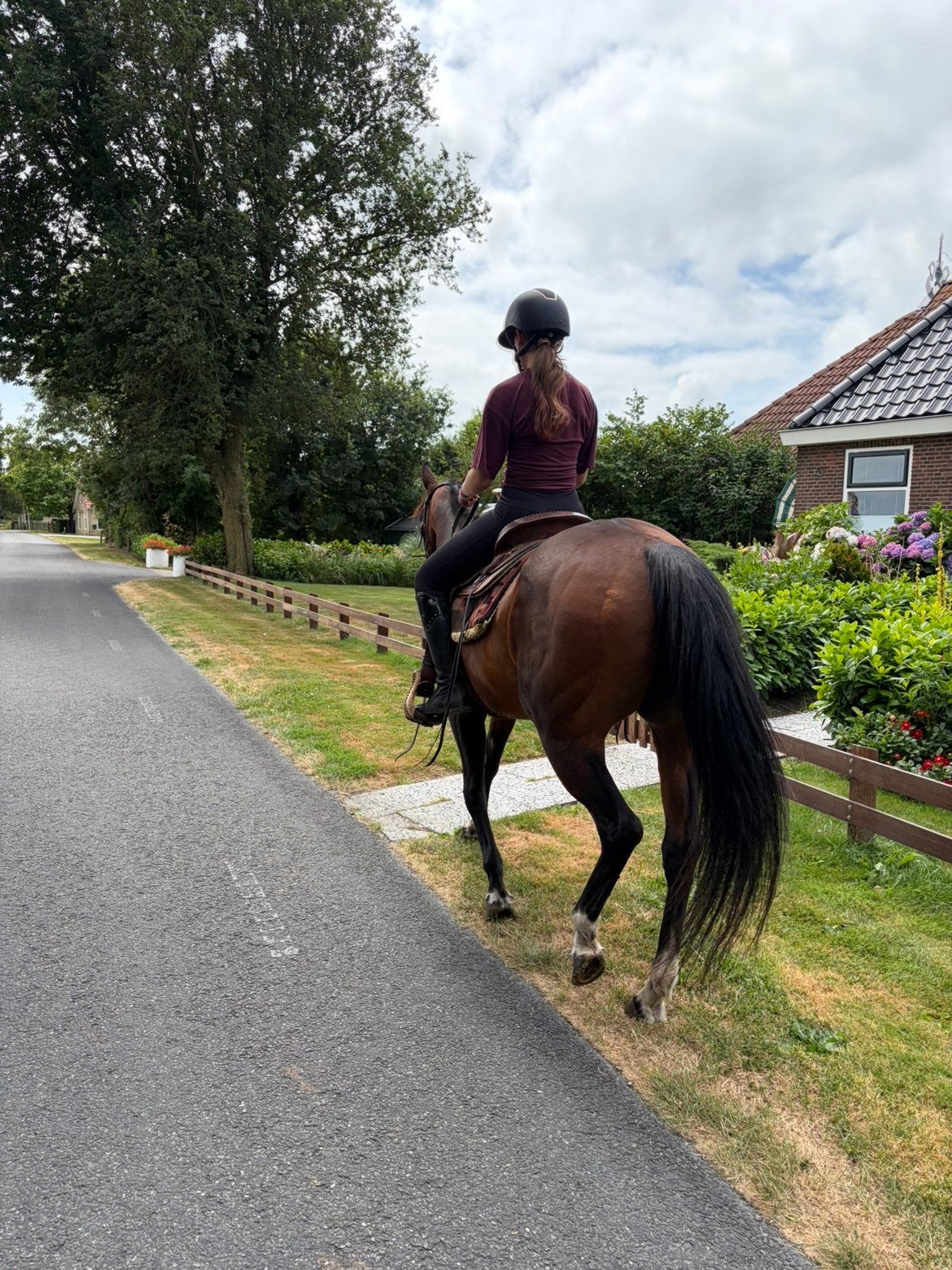 Verzorgpony gezocht / verzorgster aangeboden, Ophalen of Verzenden