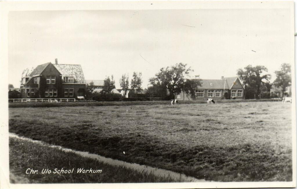 Chr. Ulo School Workum - koeien - ongelopen, Verzamelen, Ansichtkaarten | Nederland, Verzenden, Voor 1920, Ongelopen, Friesland