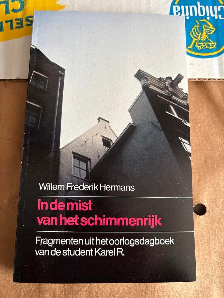 In de mist van het schimmenrijk - W.F. Hermans, Ophalen of Verzenden, Zo goed als nieuw, Nederland