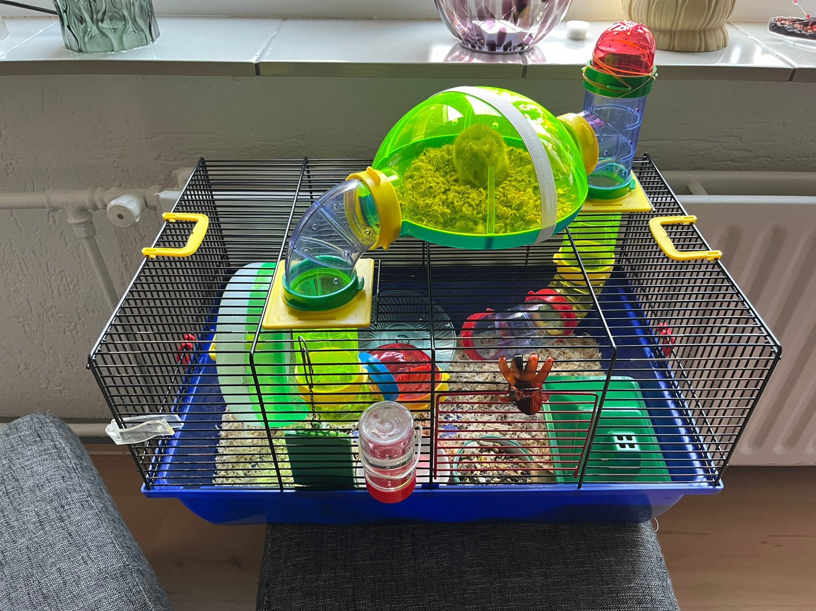 Hamsterkooi inclusief toebehoren, Dieren en Toebehoren, Knaagdieren en Konijnen | Toebehoren, Ophalen, Zo goed als nieuw, Loopwiel of Rad