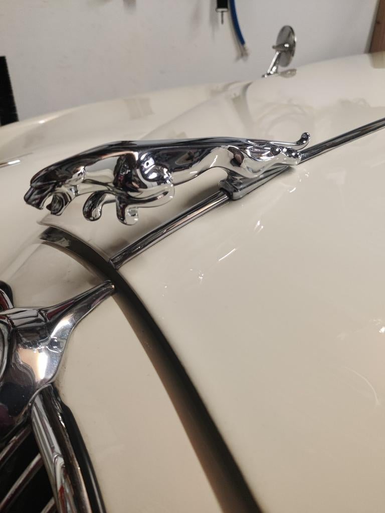 Jaguar motorkap ornament, leaping cat (20 cm), Ophalen, Jaguar