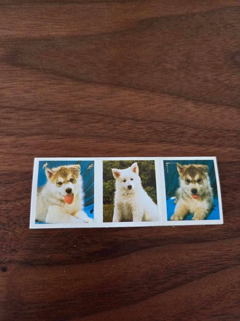 Nr.6710 , Sticker met drie puppy's, Ophalen of Verzenden