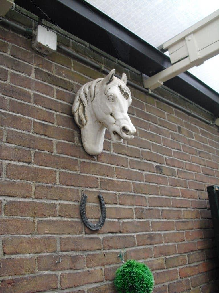 TE KOOP DECORATIEF GROOT  STENEN PAARDEN HOOFD, Tuin en Terras, Tuinbeelden, Ophalen, Gebruikt