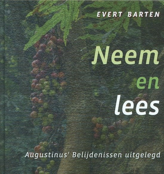 Evert Barten: Neem en lees., Christendom | Protestants, Ophalen of Verzenden, Zo goed als nieuw, Evert Barten
