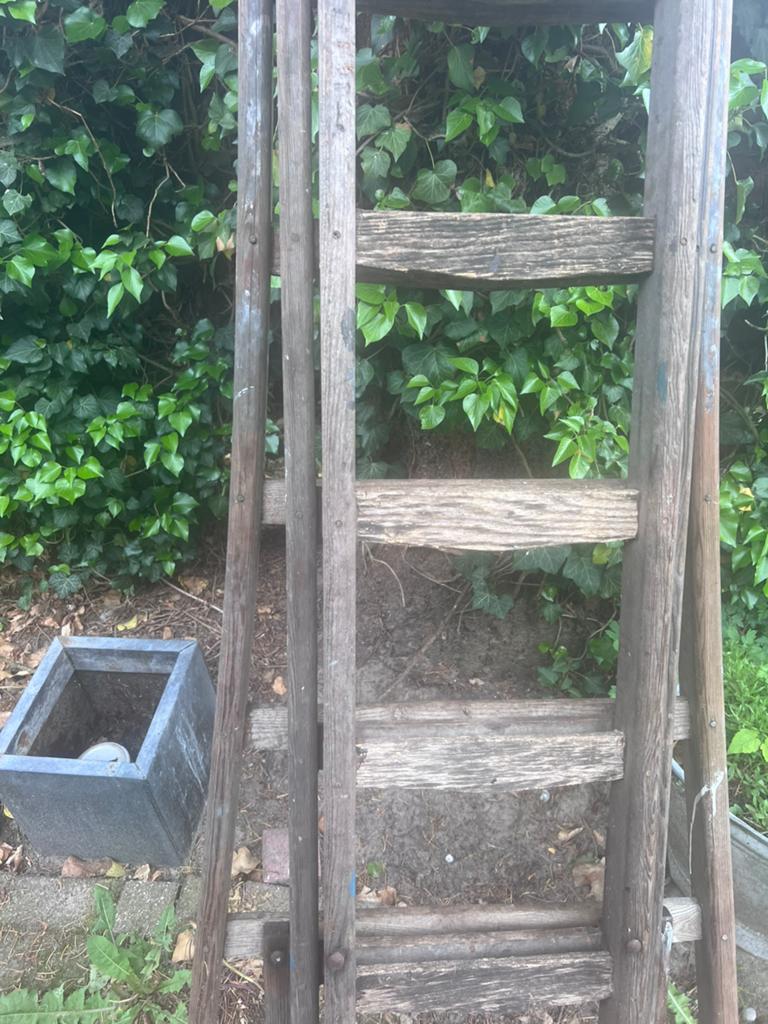 Oude houten ladder - decoratief of functioneel, Ophalen, Gebruikt, Ladder, 4 meter of meer