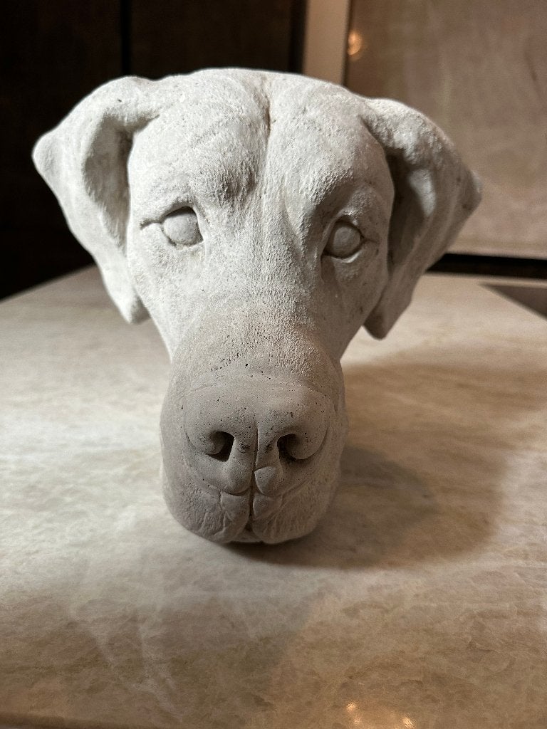 Duitse doggen kop, Ophalen of Verzenden, Zo goed als nieuw