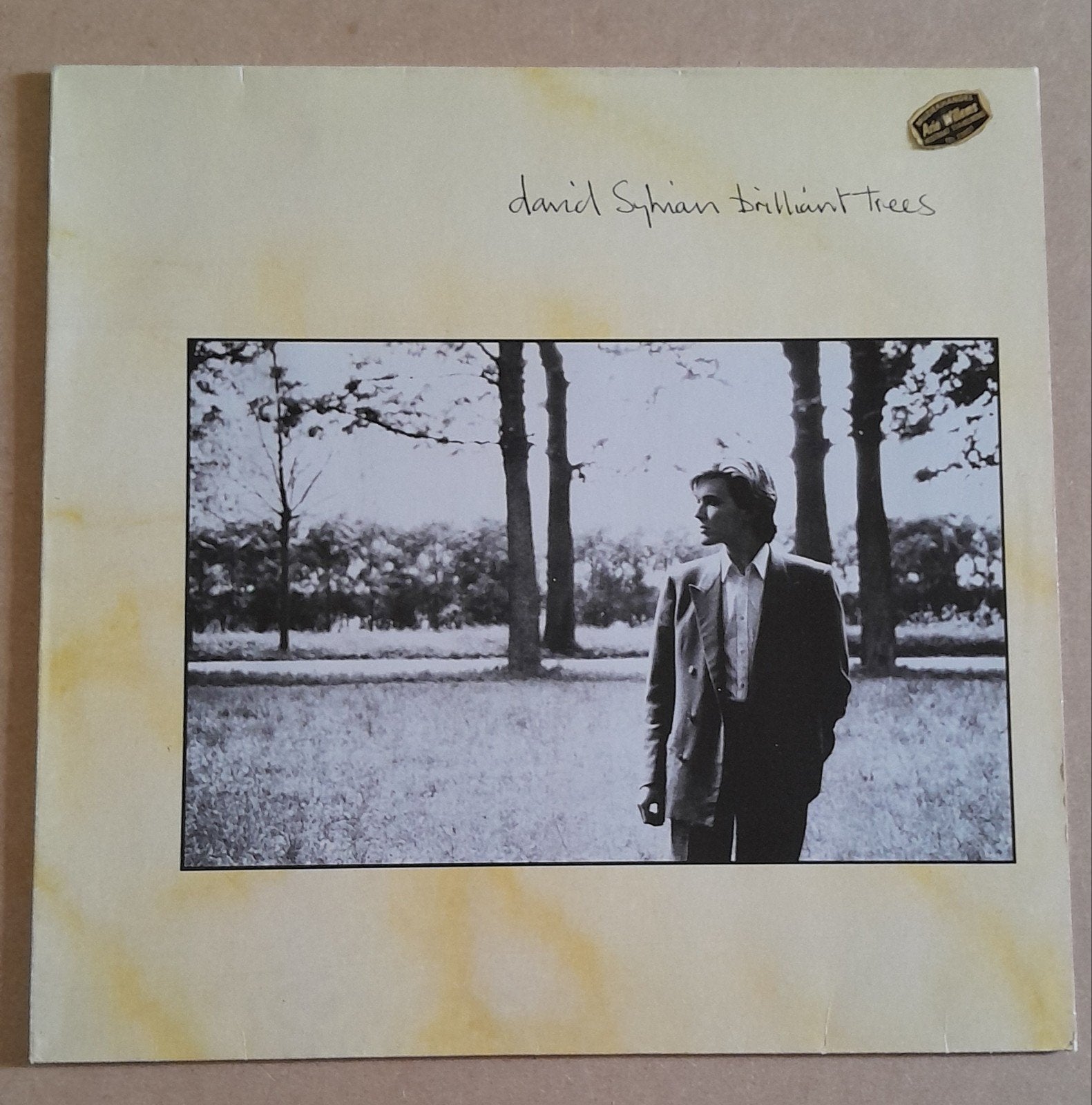 lp david sylvian - brilliant trees, Ophalen of Verzenden, LP